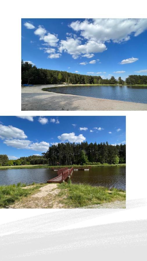 Domek Letniskowy Pod Brzozami Na Roztoczu Wsrod Lasow, Zamosc, Krasnobrod, Zwierzyniec Adamow  Exterior photo