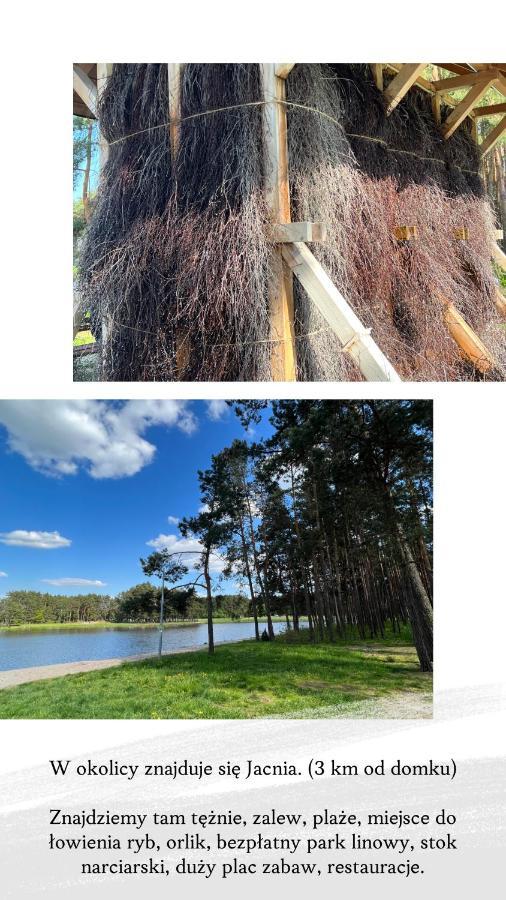 Domek Letniskowy Pod Brzozami Na Roztoczu Wsrod Lasow, Zamosc, Krasnobrod, Zwierzyniec Adamow  Exterior photo